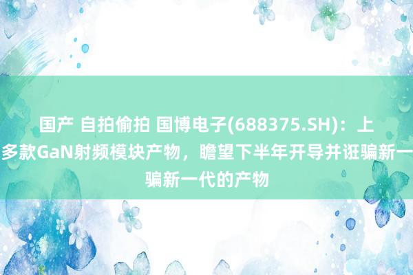 国产 自拍偷拍 国博电子(688375.SH)：上半年发布多款GaN射频模块产物，瞻望下半年开导并诳骗新一代的产物