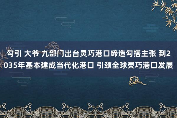 勾引 大爷 九部门出台灵巧港口缔造勾搭主张 到2035年基本建成当代化港口 引颈全球灵巧港口发展