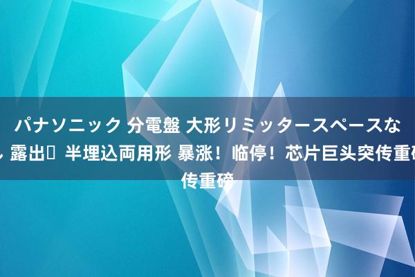 パナソニック 分電盤 大形リミッタースペースなし 露出・半埋込両用形 暴涨！临停！芯片巨头突传重磅