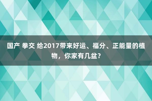 国产 拳交 给2017带来好运、福分、正能量的植物，你家有几盆？