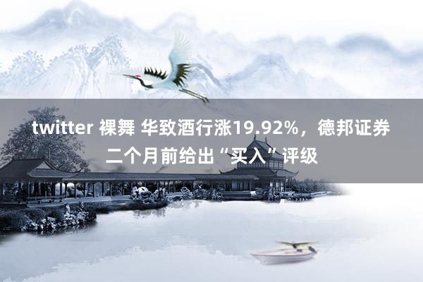 twitter 裸舞 华致酒行涨19.92%，德邦证券二个月前给出“买入”评级