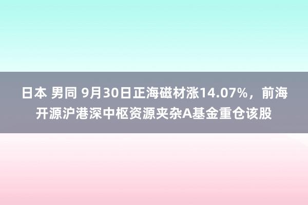 日本 男同 9月30日正海磁材涨14.07%，前海开源沪港深中枢资源夹杂A基金重仓该股