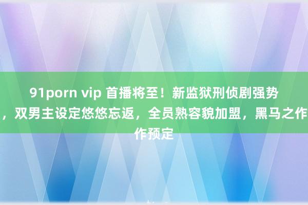 91porn vip 首播将至！新监狱刑侦剧强势登场，双男主设定悠悠忘返，全员熟容貌加盟，黑马之作预定