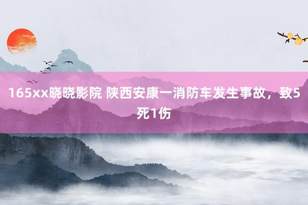 165xx晓晓影院 陕西安康一消防车发生事故，致5死1伤