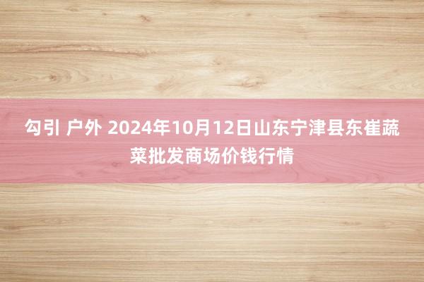 勾引 户外 2024年10月12日山东宁津县东崔蔬菜批发商场价钱行情