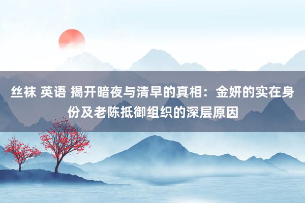 丝袜 英语 揭开暗夜与清早的真相：金妍的实在身份及老陈抵御组织的深层原因