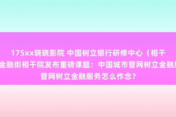 175xx晓晓影院 中国树立银行研修中心（相干院）皆集北京金融街相干院发布重磅课题：中国城市管网树立金融服务怎么作念？