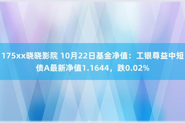 175xx晓晓影院 10月22日基金净值：工银尊益中短债A最新净值1.1644，跌0.02%