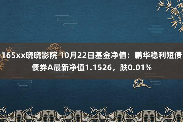 165xx晓晓影院 10月22日基金净值：鹏华稳利短债债券A最新净值1.1526，跌0.01%