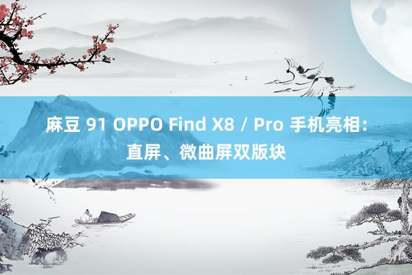 麻豆 91 OPPO Find X8 / Pro 手机亮相：直屏、微曲屏双版块