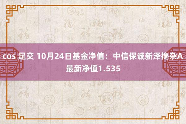 cos 足交 10月24日基金净值：中信保诚新泽搀杂A最新净值1.535