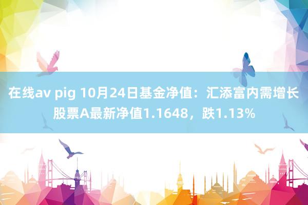 在线av pig 10月24日基金净值：汇添富内需增长股票A最新净值1.1648，跌1.13%