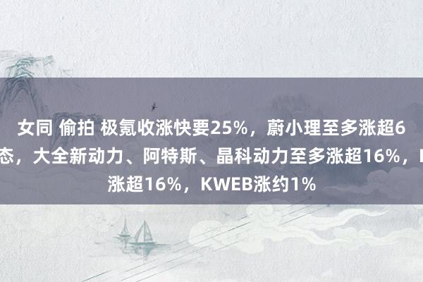 女同 偷拍 极氪收涨快要25%，蔚小理至多涨超6%贯通相对失态，大全新动力、阿特斯、晶科动力至多涨超16%，KWEB涨约1%