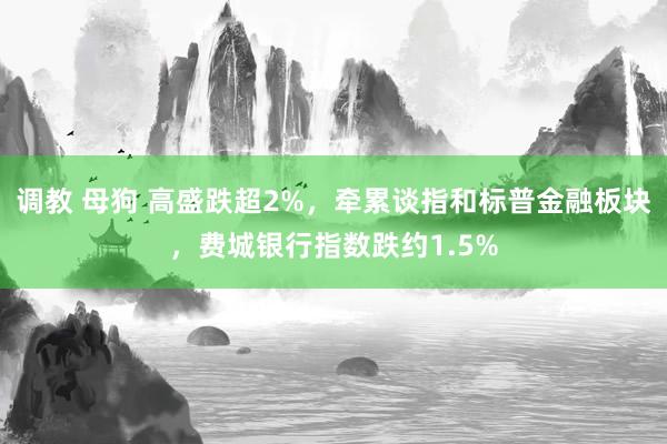 调教 母狗 高盛跌超2%，牵累谈指和标普金融板块，费城银行指数跌约1.5%