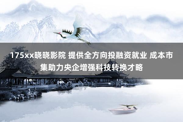 175xx晓晓影院 提供全方向投融资就业 成本市集助力央企增强科技转换才略