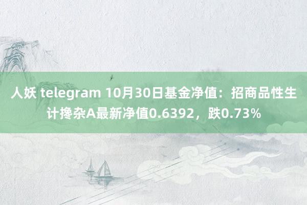 人妖 telegram 10月30日基金净值：招商品性生计搀杂A最新净值0.6392，跌0.73%