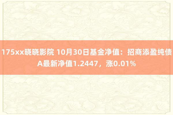 175xx晓晓影院 10月30日基金净值：招商添盈纯债A最新净值1.2447，涨0.01%