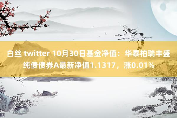 白丝 twitter 10月30日基金净值：华泰柏瑞丰盛纯债债券A最新净值1.1317，涨0.01%