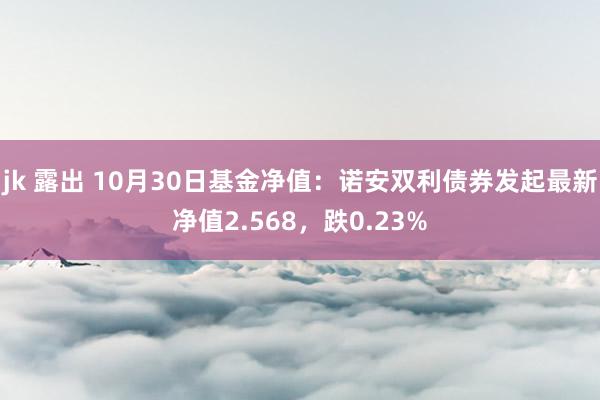 jk 露出 10月30日基金净值：诺安双利债券发起最新净值2.568，跌0.23%