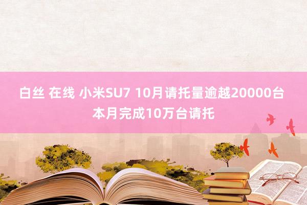 白丝 在线 小米SU7 10月请托量逾越20000台 本月完成10万台请托