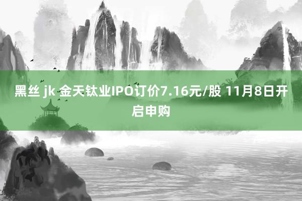 黑丝 jk 金天钛业IPO订价7.16元/股 11月8日开启申购