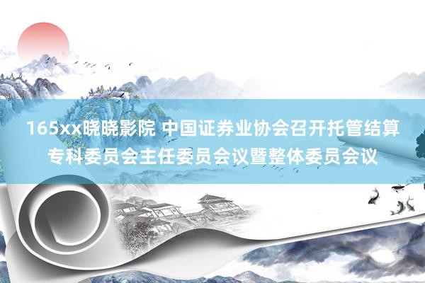 165xx晓晓影院 中国证券业协会召开托管结算专科委员会主任委员会议暨整体委员会议