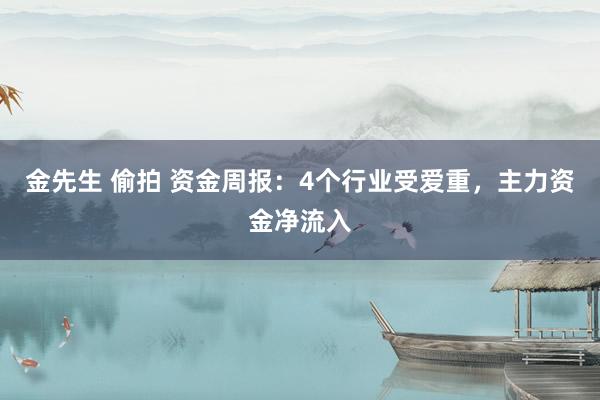 金先生 偷拍 资金周报：4个行业受爱重，主力资金净流入