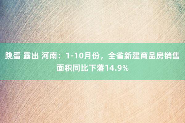 跳蛋 露出 河南：1-10月份，全省新建商品房销售面积同比下落14.9%