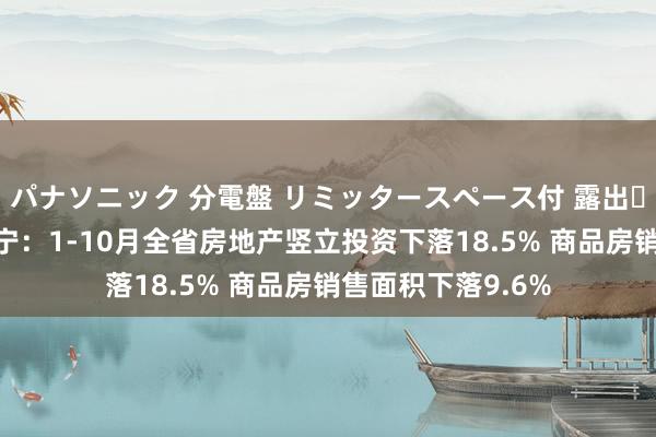 パナソニック 分電盤 リミッタースペース付 露出・半埋込両用形 辽宁：1-10月全省房地产竖立投资下落18.5% 商品房销售面积下落9.6%