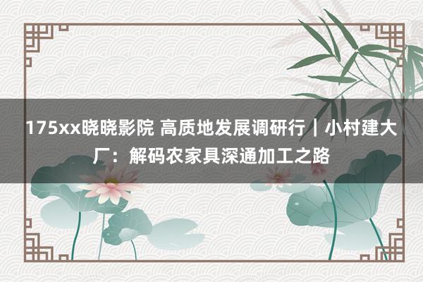 175xx晓晓影院 高质地发展调研行｜小村建大厂：解码农家具深通加工之路