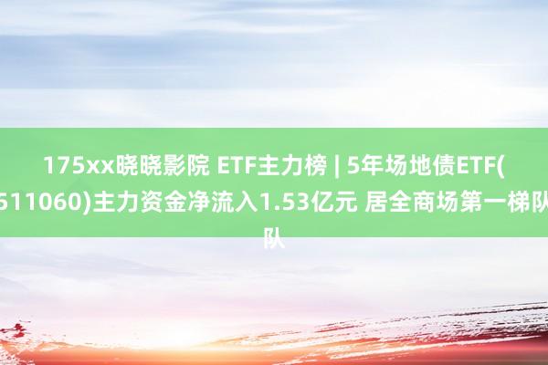 175xx晓晓影院 ETF主力榜 | 5年场地债ETF(511060)主力资金净流入1.53亿元 居全商场第一梯队