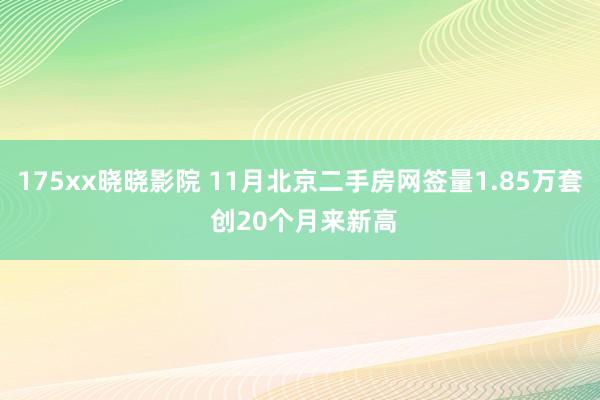 175xx晓晓影院 11月北京二手房网签量1.85万套 创20个月来新高