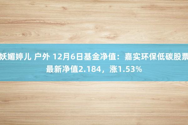 妖媚婷儿 户外 12月6日基金净值：嘉实环保低碳股票最新净值2.184，涨1.53%