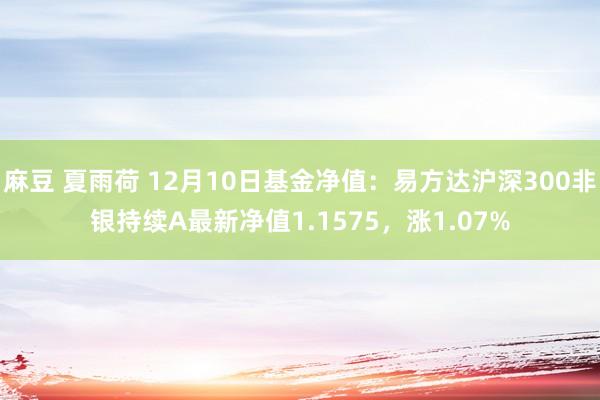 麻豆 夏雨荷 12月10日基金净值：易方达沪深300非银持续A最新净值1.1575，涨1.07%