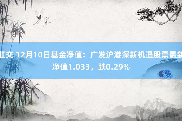 肛交 12月10日基金净值：广发沪港深新机遇股票最新净值1.033，跌0.29%