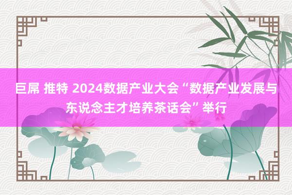 巨屌 推特 2024数据产业大会“数据产业发展与东说念主才培养茶话会”举行