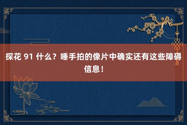 探花 91 什么？唾手拍的像片中确实还有这些障碍信息！