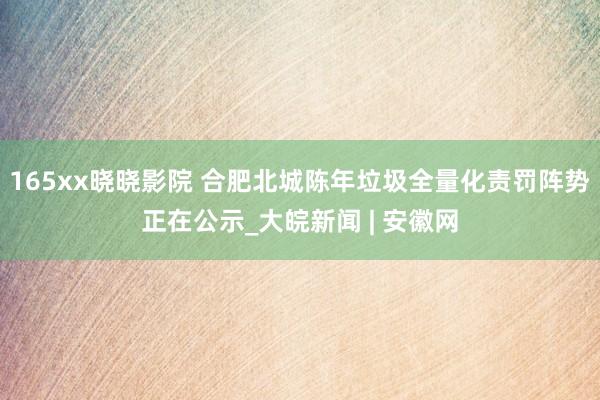 165xx晓晓影院 合肥北城陈年垃圾全量化责罚阵势正在公示_大皖新闻 | 安徽网