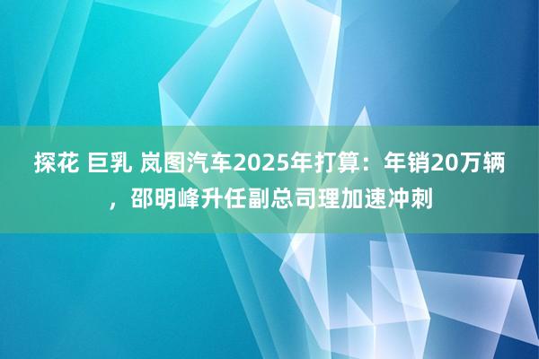 探花 巨乳 岚图汽车2025年打算：年销20万辆，邵明峰升任副总司理加速冲刺