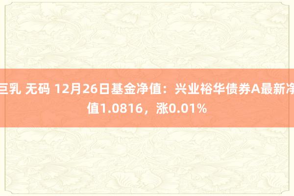 巨乳 无码 12月26日基金净值：兴业裕华债券A最新净值1.0816，涨0.01%