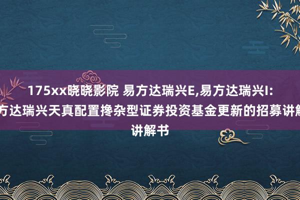 175xx晓晓影院 易方达瑞兴E，易方达瑞兴I: 易方达瑞兴天真配置搀杂型证券投资基金更新的招募讲解书