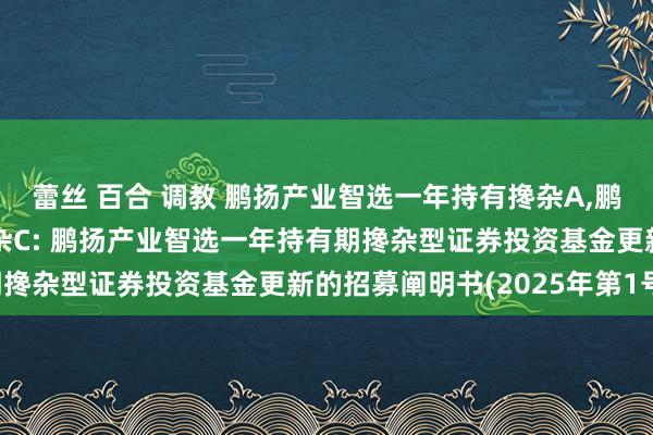 蕾丝 百合 调教 鹏扬产业智选一年持有搀杂A，鹏扬产业智选一年持有搀杂C: 鹏扬产业智选一年持有期搀杂型证券投资基金更新的招募阐明书(2025年第1号)