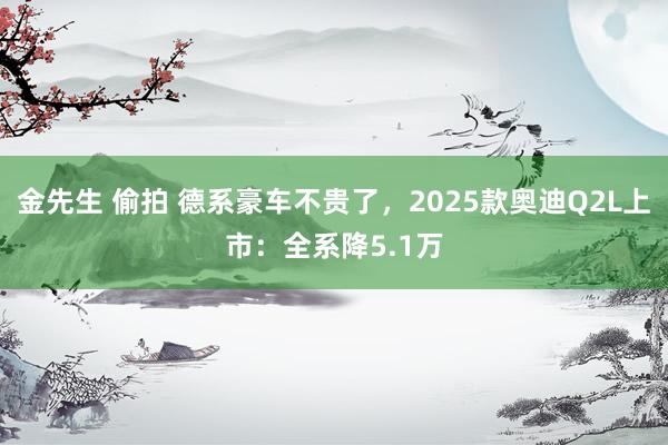 金先生 偷拍 德系豪车不贵了，2025款奥迪Q2L上市：全系降5.1万