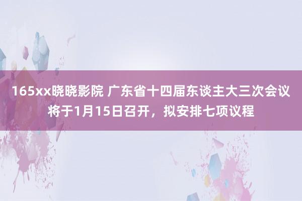 165xx晓晓影院 广东省十四届东谈主大三次会议将于1月15日召开，拟安排七项议程