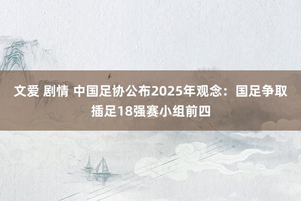 文爱 剧情 中国足协公布2025年观念：国足争取插足18强赛小组前四