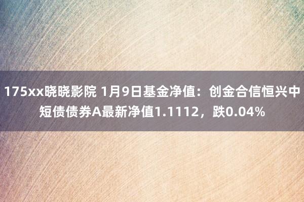 175xx晓晓影院 1月9日基金净值：创金合信恒兴中短债债券A最新净值1.1112，跌0.04%