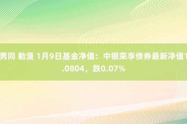 男同 動漫 1月9日基金净值：中银荣享债券最新净值1.0804，跌0.07%