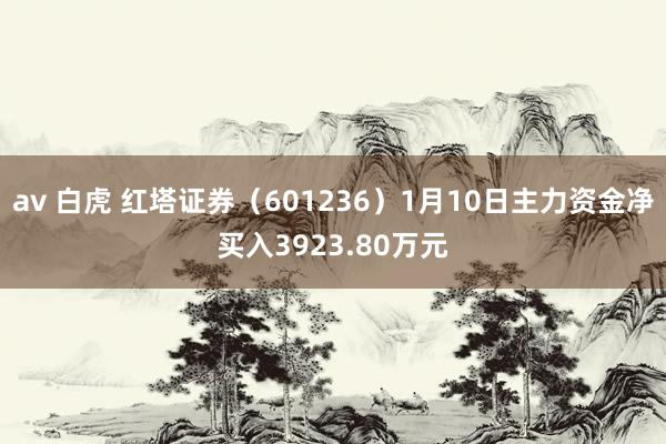 av 白虎 红塔证券（601236）1月10日主力资金净买入3923.80万元