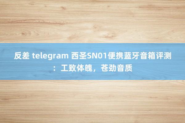 反差 telegram 西圣SN01便携蓝牙音箱评测：工致体魄，苍劲音质