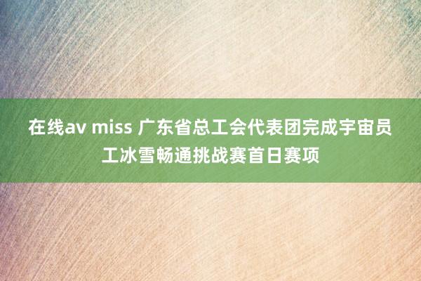 在线av miss 广东省总工会代表团完成宇宙员工冰雪畅通挑战赛首日赛项